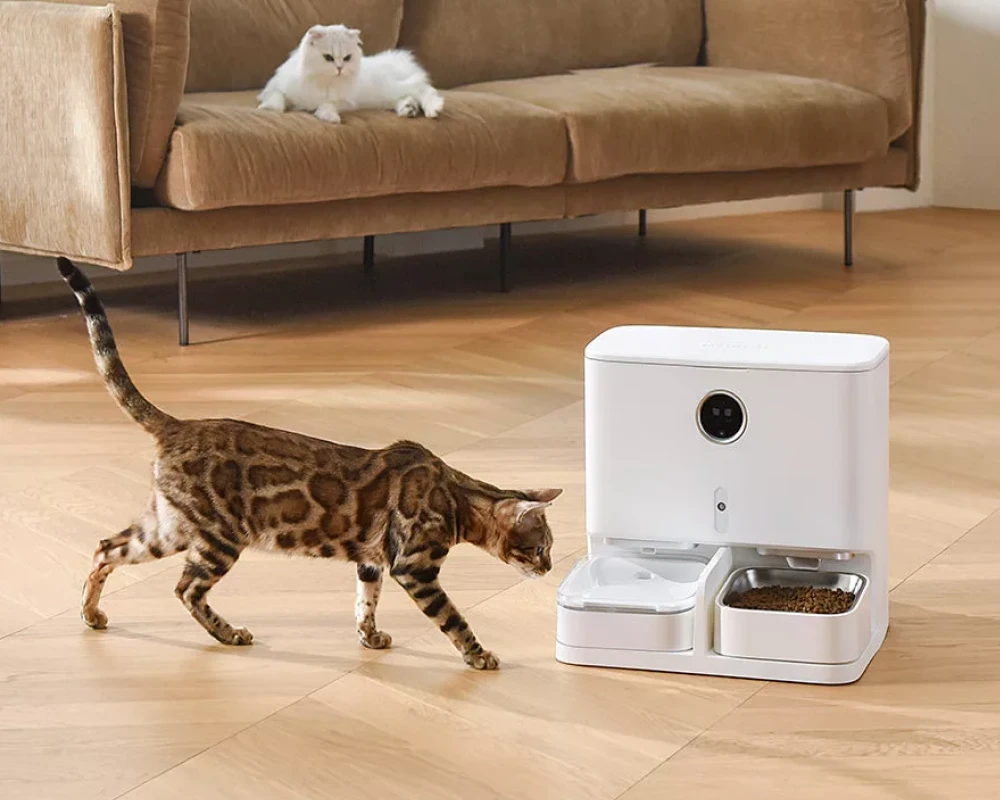 pet safe automatic feeder